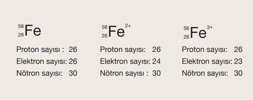 Demir element atomu ve iyonları üzerinde atom altı tanecik sayıları