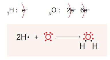 H2 O molekülünün Lewis yapısı
