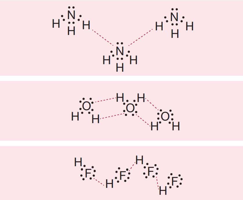 Aynı tür moleküller arasında oluşan ( ile gösterilen) hidrojen bağları